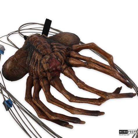 Image result for Alien vs Predator Minecraft Facehugger