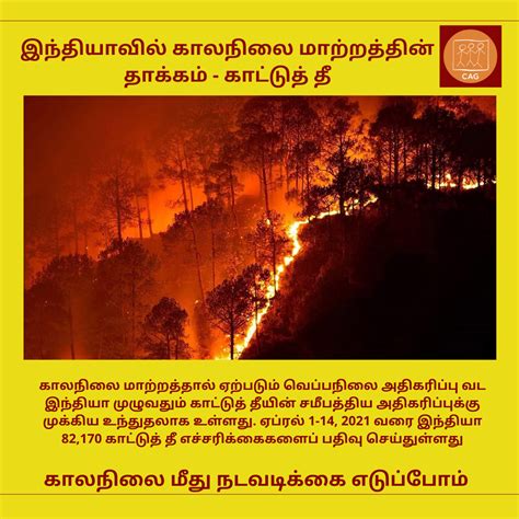 Climate Change: Forest Fires | Climate Connection