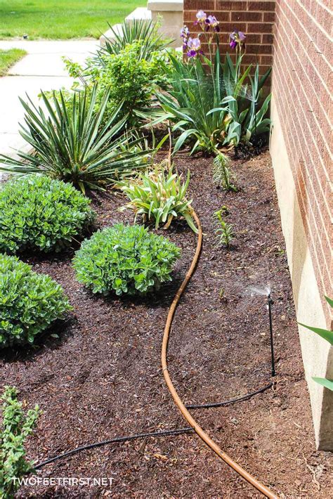 How To Install A Drip Line Irrigation at Vincent Miller blog