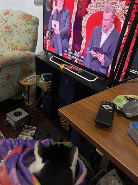 Image result for Taskmaster Cat