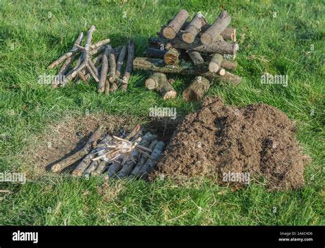 Image result for Using Paper Log Fire