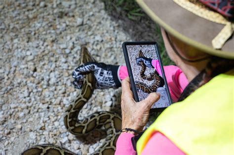 Image result for Python Hunters Bitten