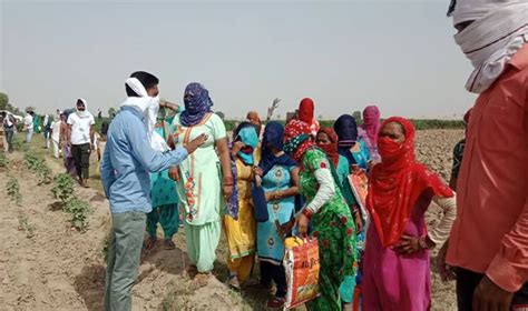 Rajasthan Villages Reject Urban Status to Preserve MGNREGA Benefits