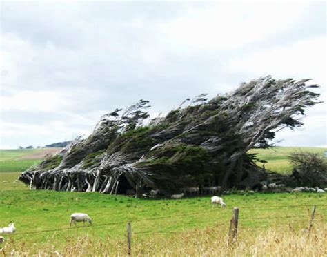 Invercargill in Catlin | TimesTravel