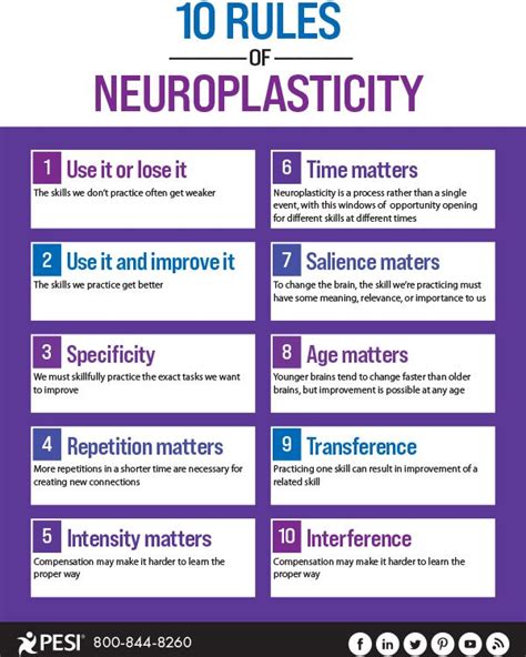 Image result for Neuroplasticity Exercises