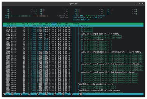 Using Exec System Call in Creating Process Tree 的图像结果