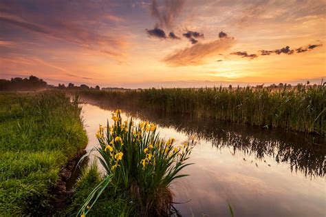 Photo 的图像结果