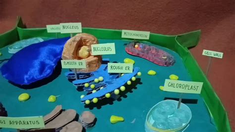 Plant Cell Model Project Materials 3d Plant Cell Model