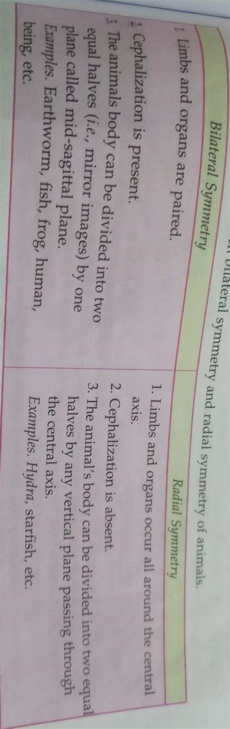 difference between bilateral symmetry and radial symmetry.only three ...