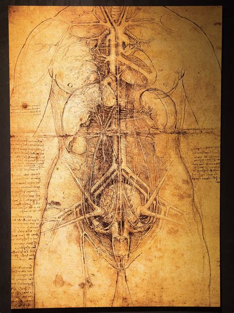 Leonardo Da Vinci Drawings Book at Roger Storey blog