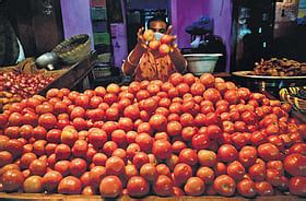 Tomato, brinjal prices drop due to increased market supply in Madurai