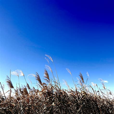 You Still Believe in Me | Slow Country