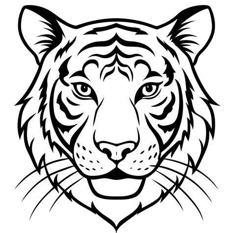 Tiger Vector 的图像结果