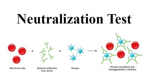 Neutralization Test 的图像结果