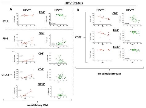 Co-Stimulatory and Immune Checkpoint Molecule Expression on Peripheral ...