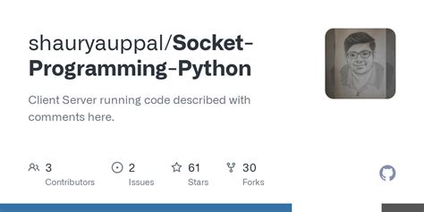 Image result for Socket Programming Python Output