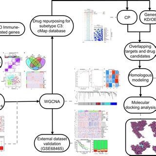 Connectivity Map 的图像结果