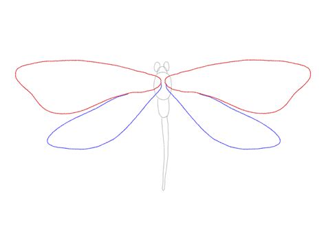 Dragonfly Wing Template