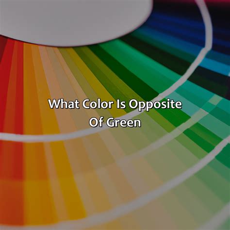 What Is A Split Complementary Color Scheme - colorscombo.com