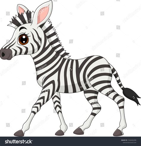 Image result for Zebra Cartoon