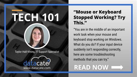 How to Fix Mouse Stopped 的图像结果