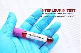 Interleukin-6 (IL-6) Test: Normal Range, Functions, and What High ...