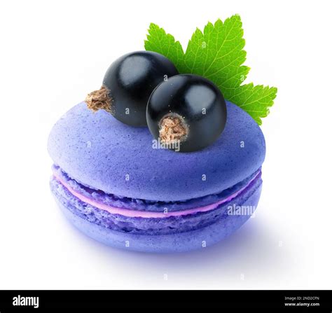 One black currants flavored macaroon with berries on top, isolated on ...