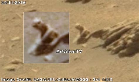 Morning brief: Intelligence warned of Nagrota attack, alien reptile on ...