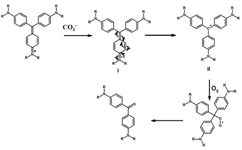 Advanced Oxidation Processes for Degradation of Water Pollutants ...