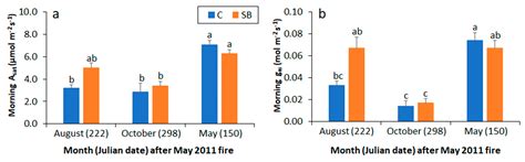 Physiological Mechanisms of Foliage Recovery after Spring or Fall Crown ...