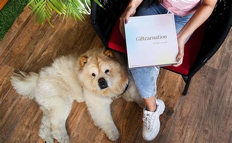 Giftcarnation Gift Hampers for Couple | Anniversary Gift Ideas | Gift ...