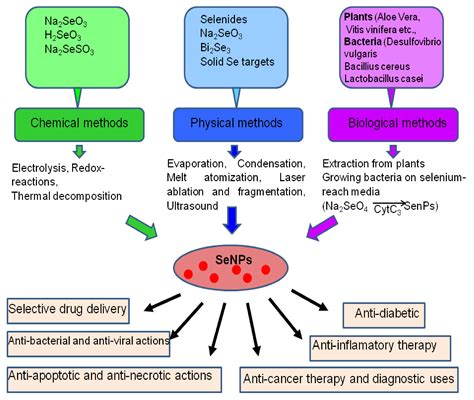 Therapeutic Potential and Main Methods of Obtaining Selenium Nanoparticles