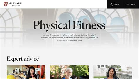 Website Examples 的图像结果