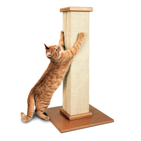 Image result for Cat Scratching Post