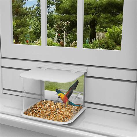 Amazon.com : NIUXX Window Bird Feeder Inside House, White in-House ...