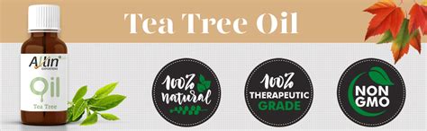 Allin Exporters Tea Tree Essential Oil Undiluted & Pure Aromatherapy ...