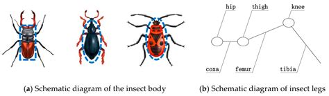 Design and Gait Simulation Study of Wheel-Legged Conversion Device Used ...