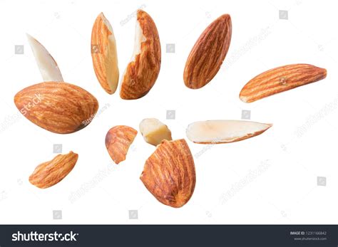 Nuts Explode 的图像结果