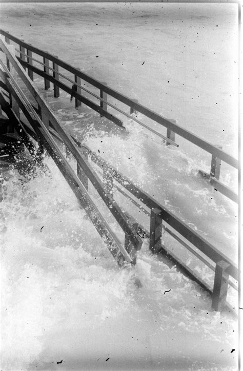 Image result for V600 Scanner