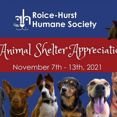 7 Ways to Celebrate National Animal Shelter Appreciation Week! - Roice ...