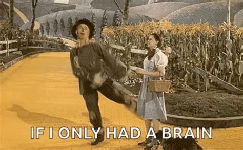 Wizard Of Oz Meme GIFs | Tenor