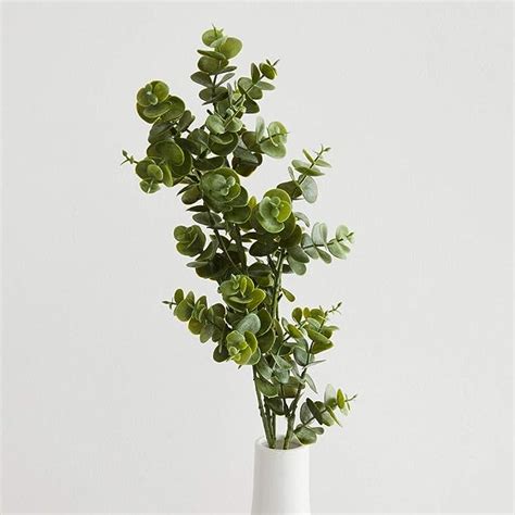 Home Centre Botanical Artflower Single Leave Branch : Amazon.in: Home ...