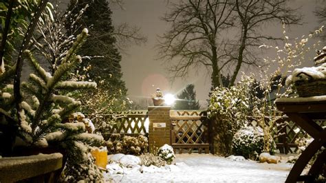 Outdoor christmas scene Images - Free Download on Freepik