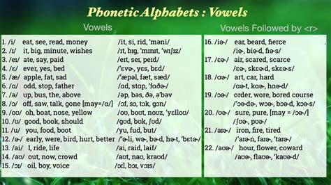 English Phonetics API HD Wallpaper Background PNG Vector Art Background Vector Art HD Wallpaper Mini
