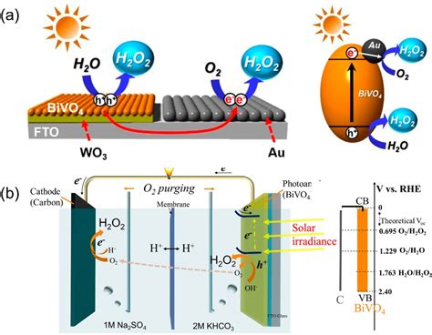 H2O2 Mechanism 的图像结果