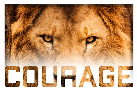 Courage in Business – Vividcomm