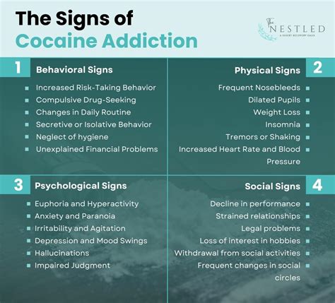 Signs Of Cocaine Addiction