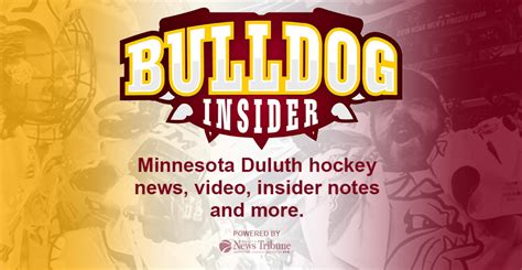 UMD Bulldogs hockey schedule and standings - Duluth News Tribune | News ...