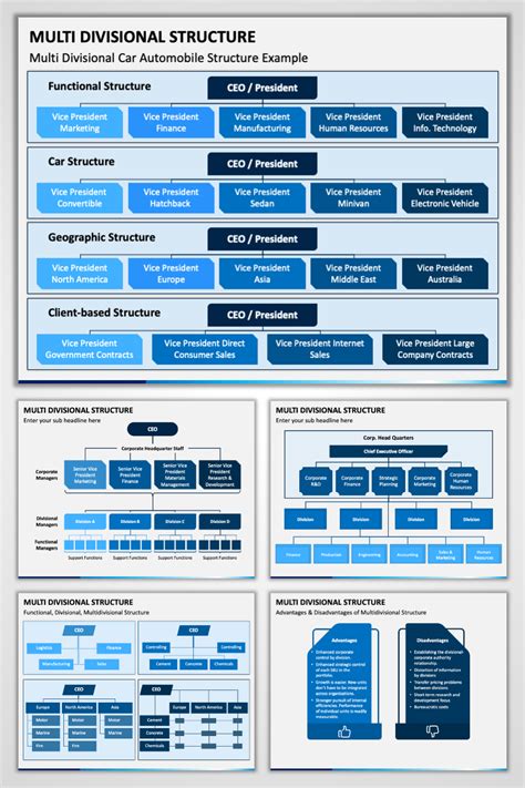 Multidivisional Structure 的图像结果