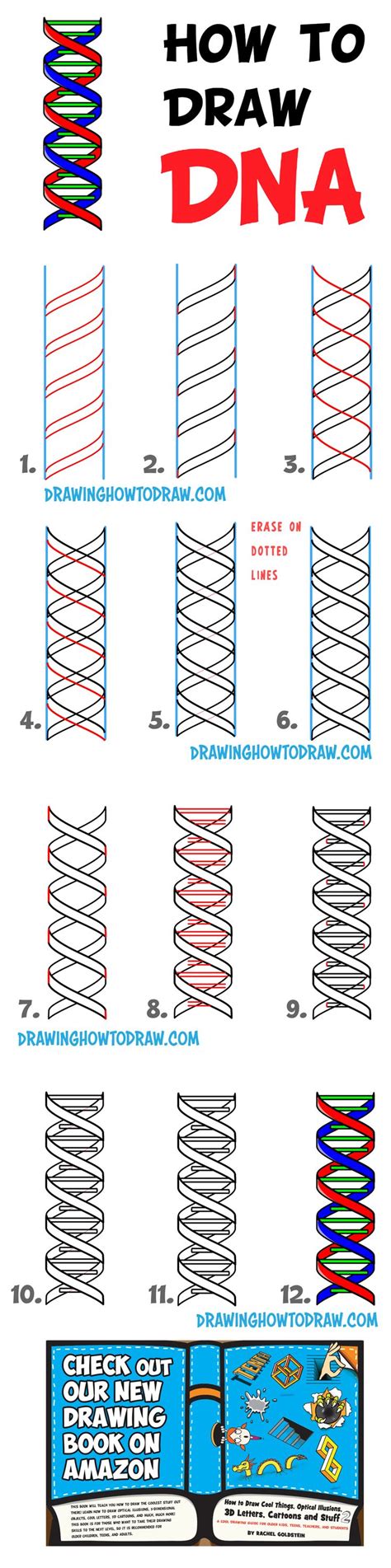 Image result for DNA Tutorial